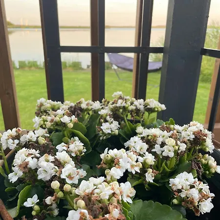 Protected Fjord With Fjord Views Vakantiehuis Randers