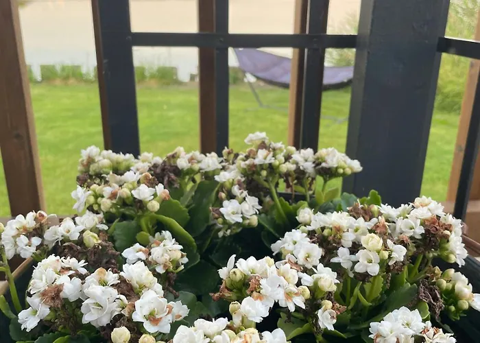 Protected Fjord With Fjord Views Feriehus Randers